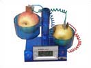 Energy transformation-Fruit Clock(MS307.8-B)